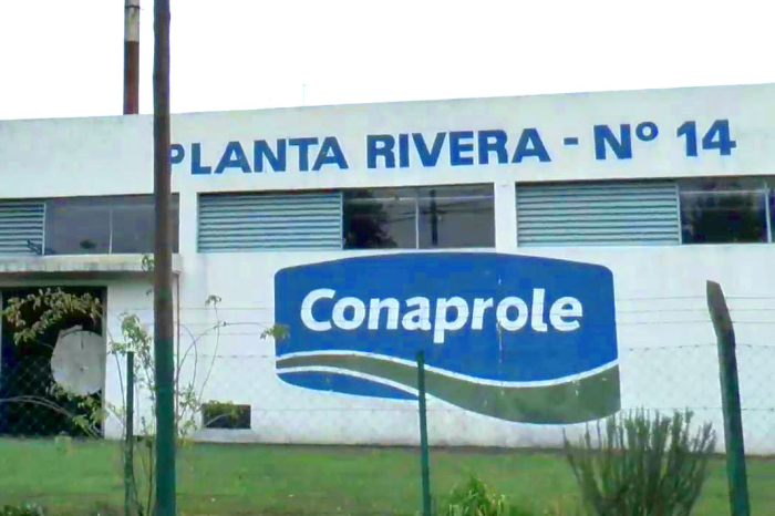 Conaprole