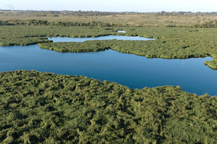 bañados carrasco