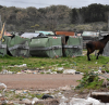 recicladores 