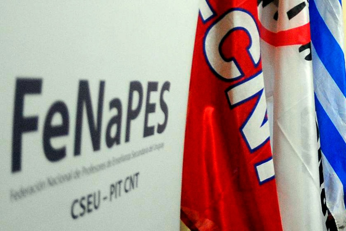 fenapes