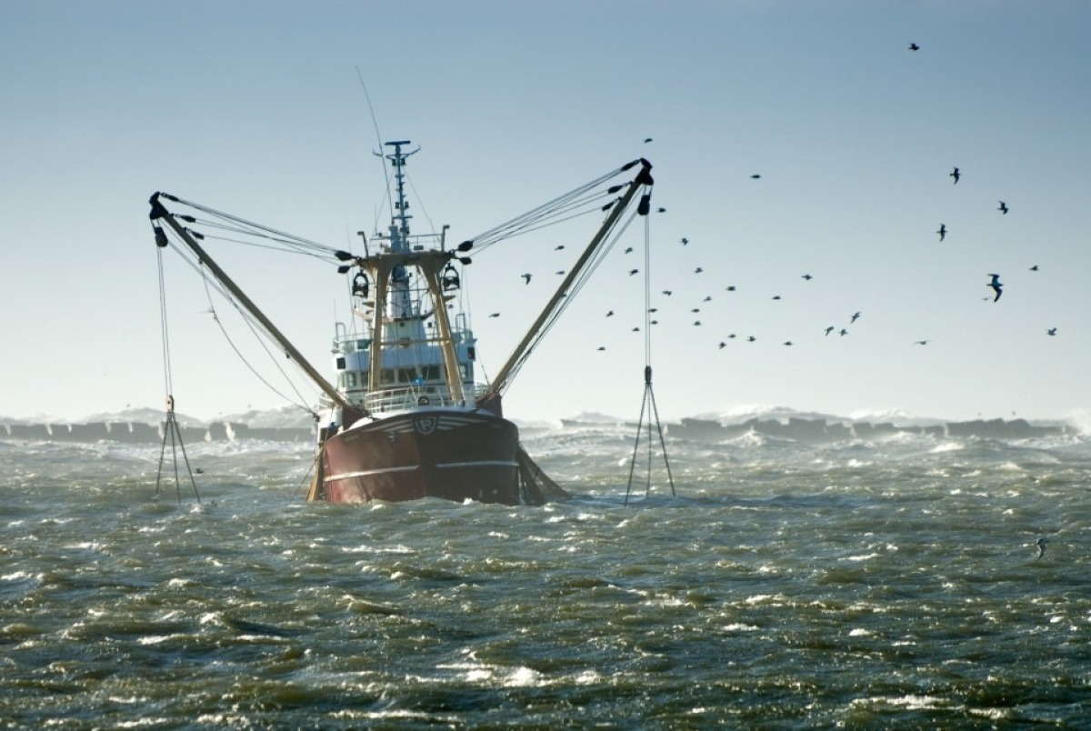 Pesca