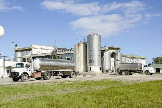 Granja Pocha