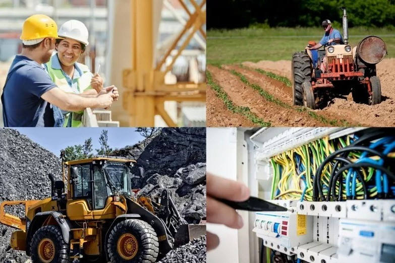 actividad economica